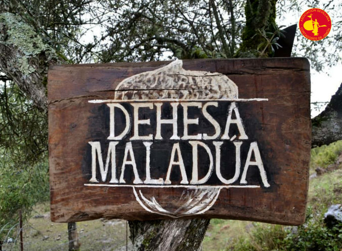 Dehesa Maladua